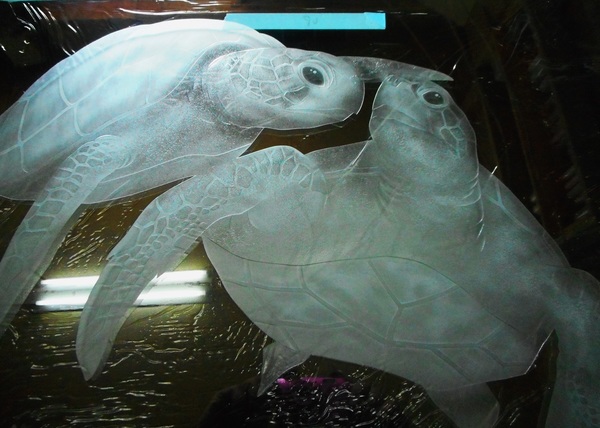 海亀のエッチングガラス（Art Glass)